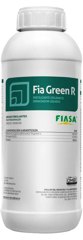 Fia Green R
